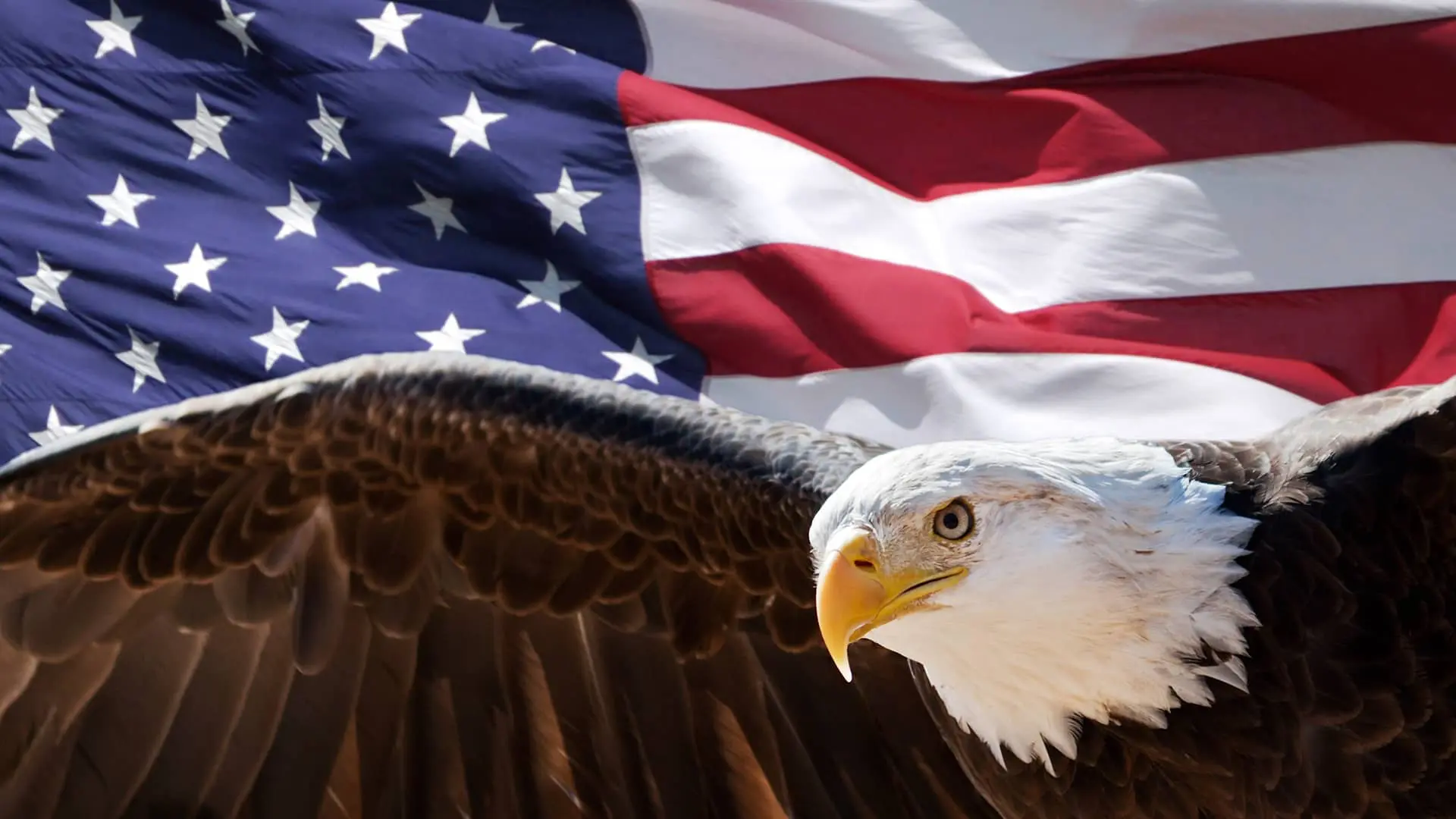 systeme scolaire americain